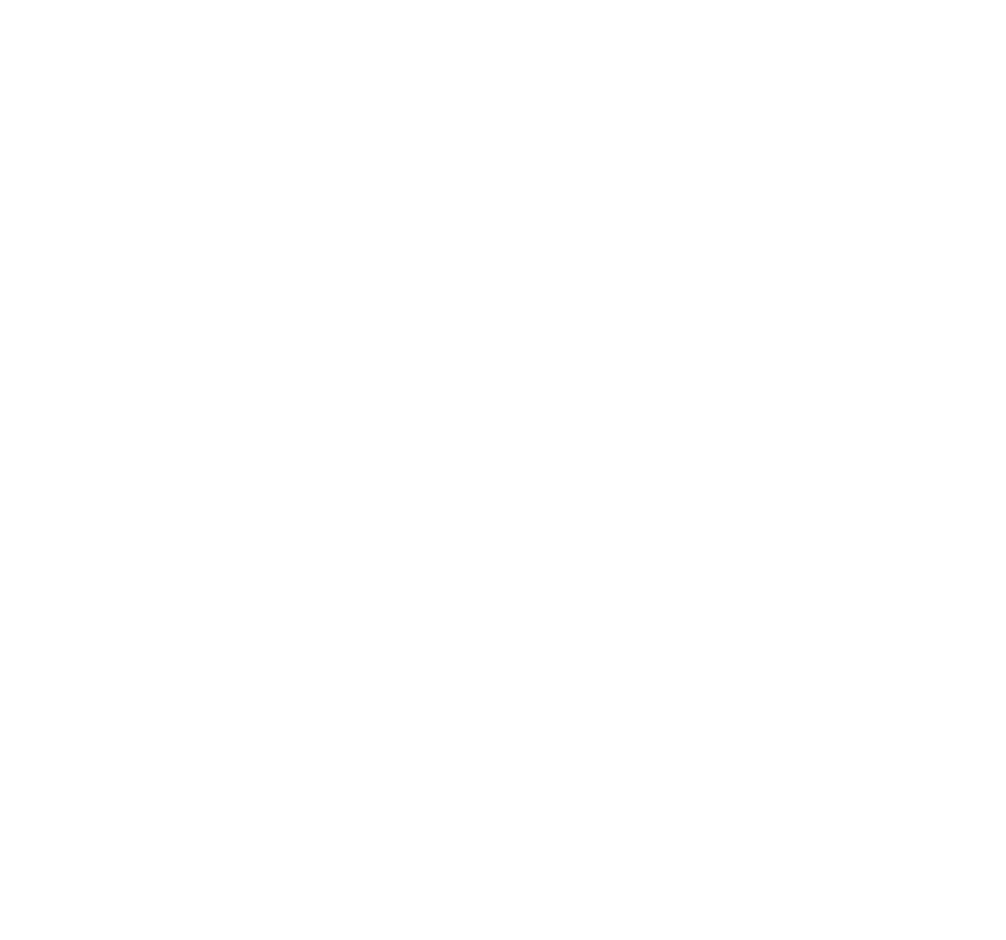 AV Travels